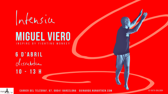 Intensiu amb Miguel Viero - Inspire by Fighting Monkey (abril)